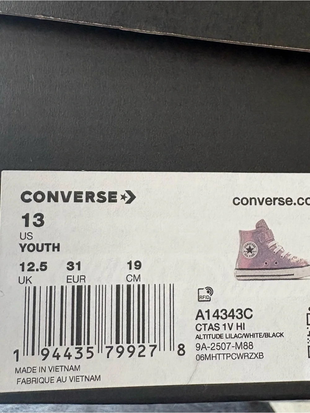 Converse High Top Sneakers - Iridescent Lavender